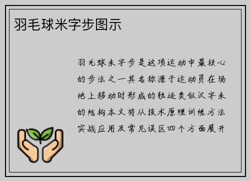 羽毛球米字步图示